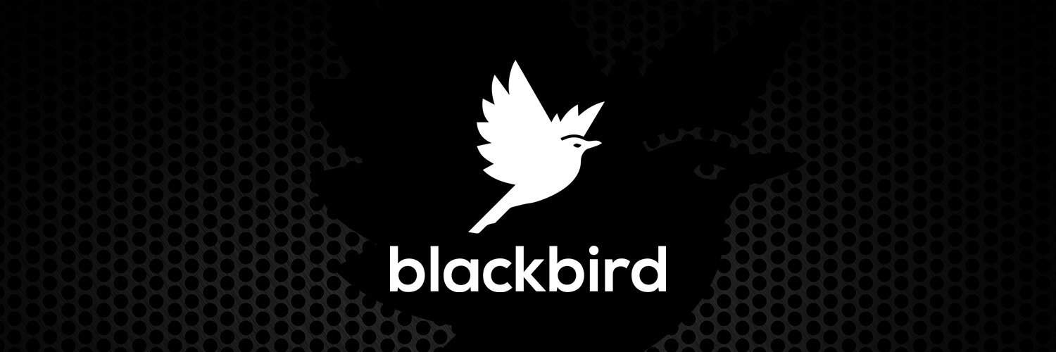 blackbird esport logo 1